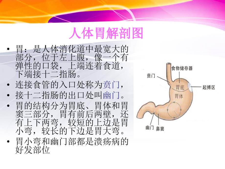 鼻胃肠管培训PPT课件.ppt_第3页