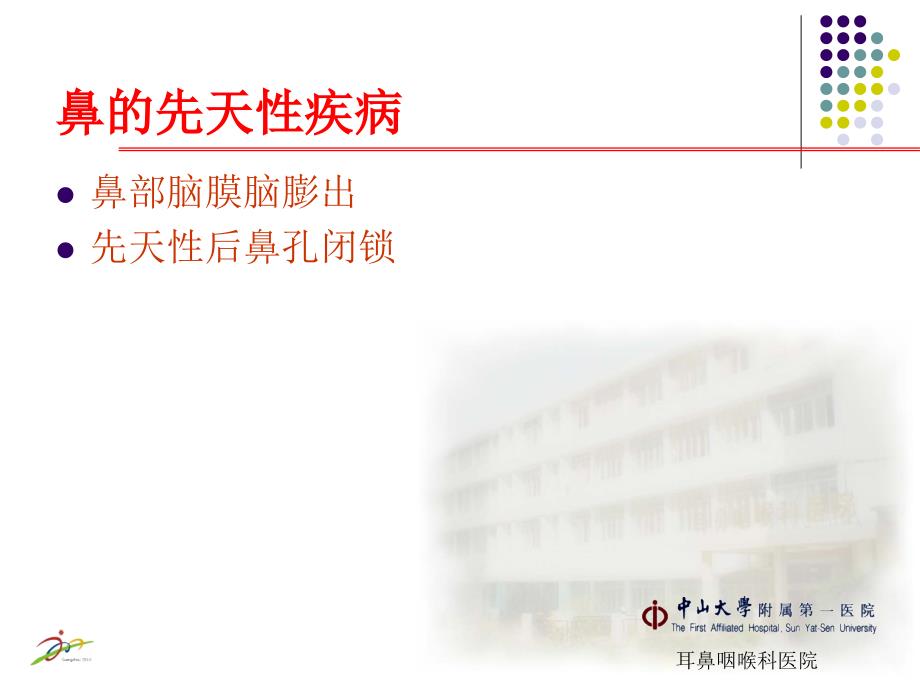 鼻部先天性疾病PPT课件.ppt_第2页