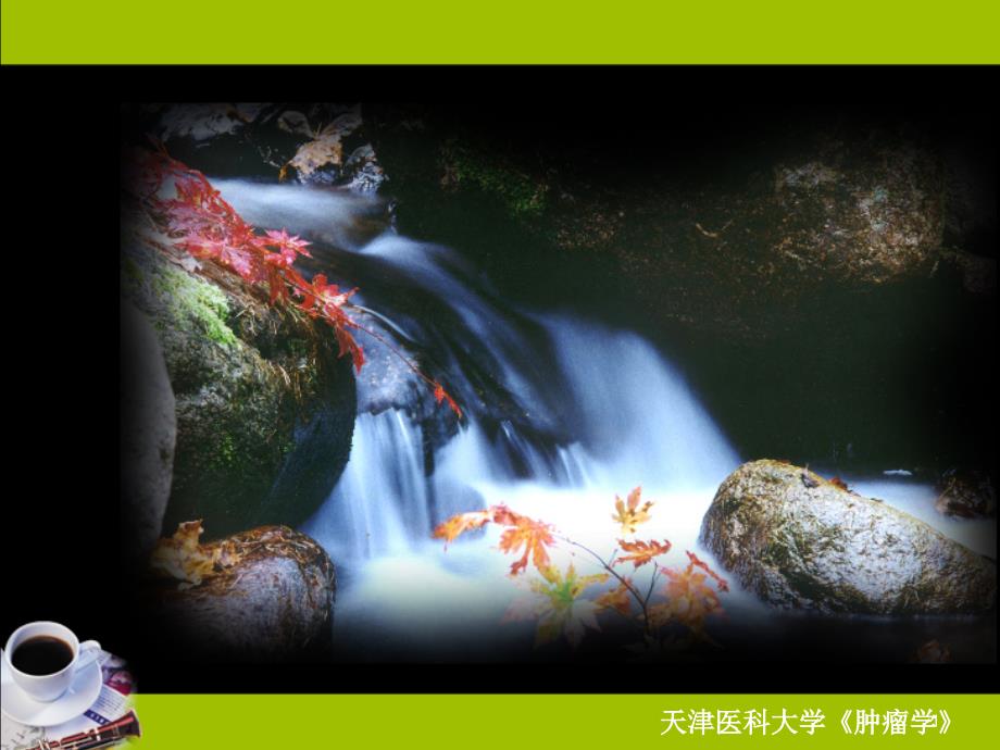 肿瘤学肿瘤影像诊断ppt课件.ppt_第1页