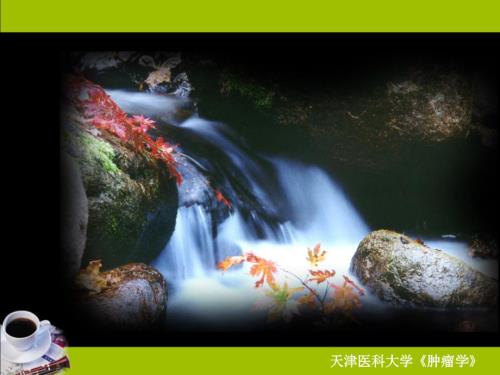 肿瘤学肿瘤影像诊断ppt课件.ppt