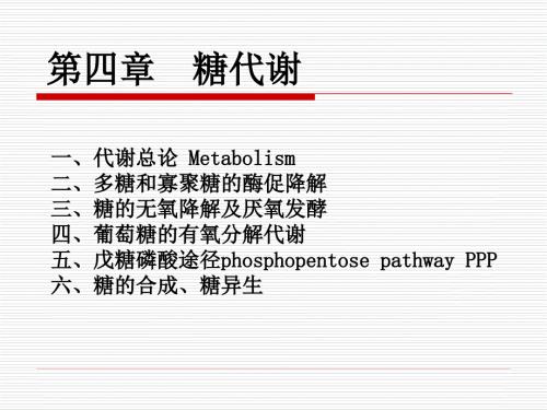 糖的代谢PPT课件.ppt