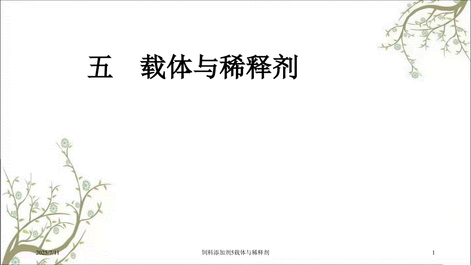 饲料添加剂5载体与稀释剂.ppt_第1页