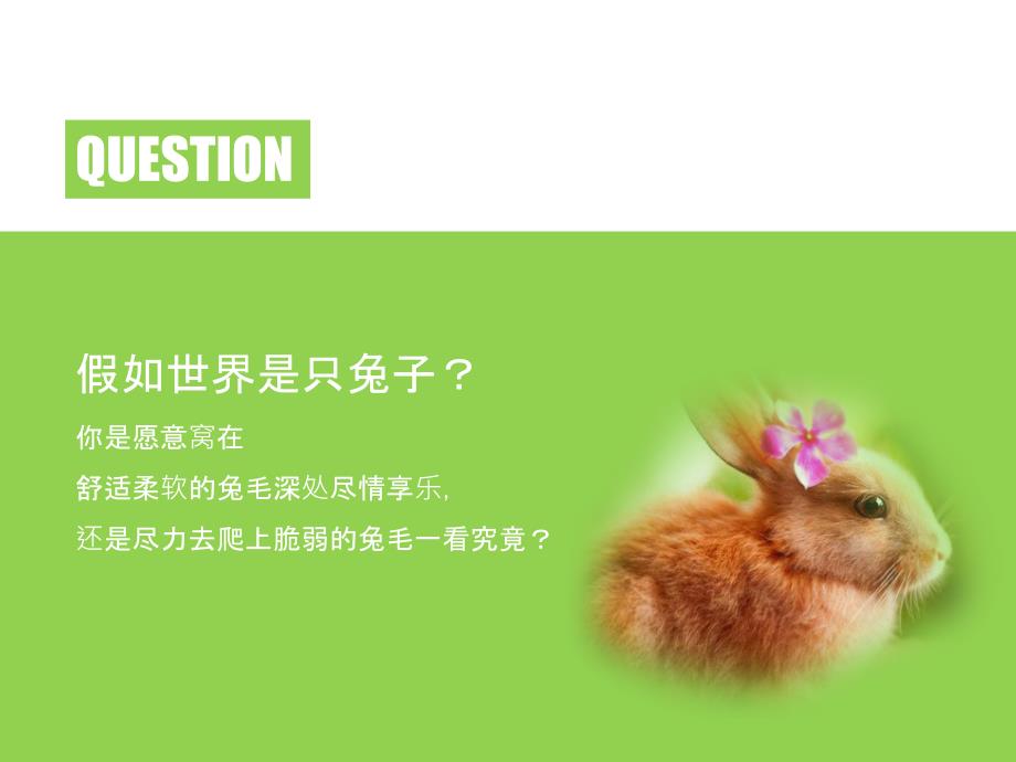 苏菲的世界PPT.ppt_第2页
