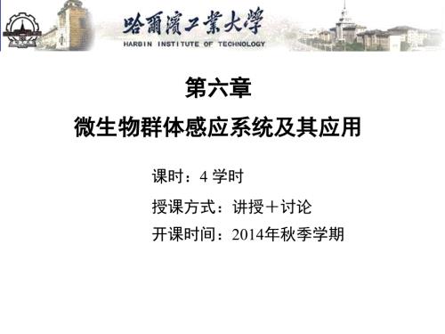 群体感应系统PPT课件.ppt
