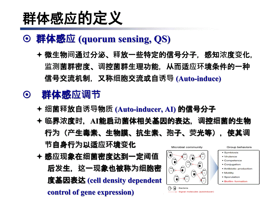 群体感应系统PPT课件.ppt_第3页