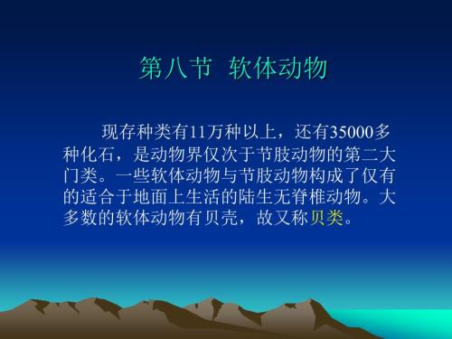 软体动物PPT课件.ppt