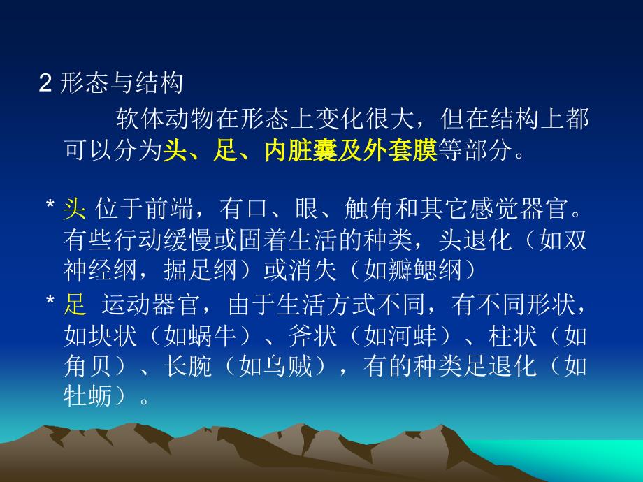 软体动物PPT课件.ppt_第3页