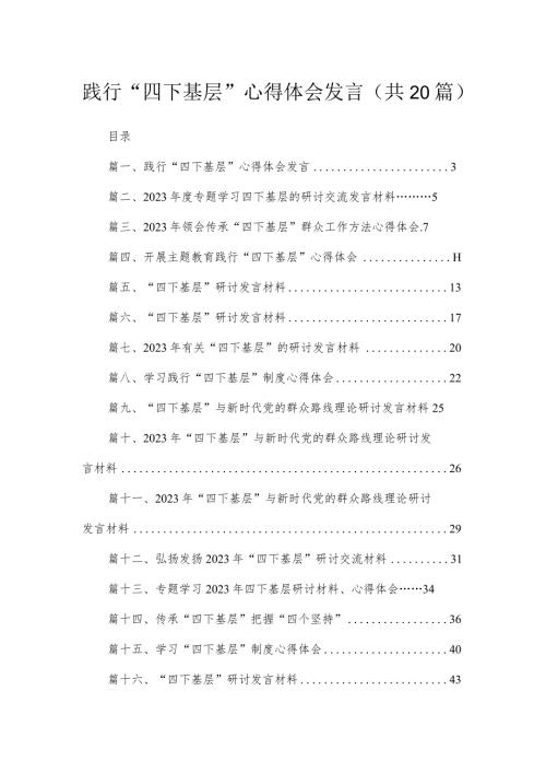 践行四下基层心得体会发言共20篇.docx