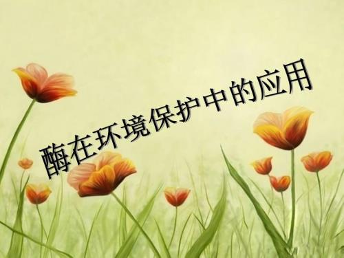酶在环境保护中的应用.ppt