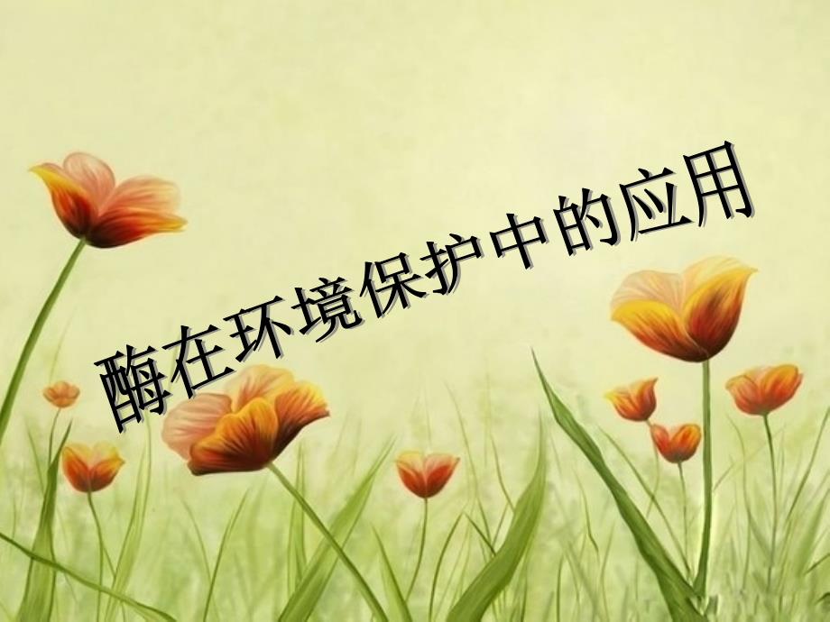 酶在环境保护中的应用.ppt_第1页