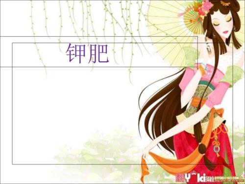 钾肥生产工艺PPT课件.ppt