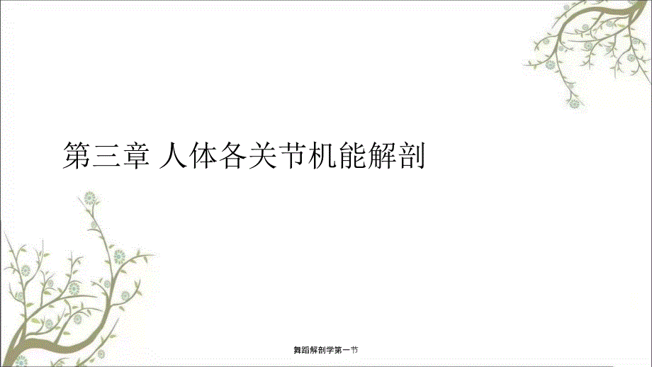舞蹈解剖学第一节.ppt_第1页