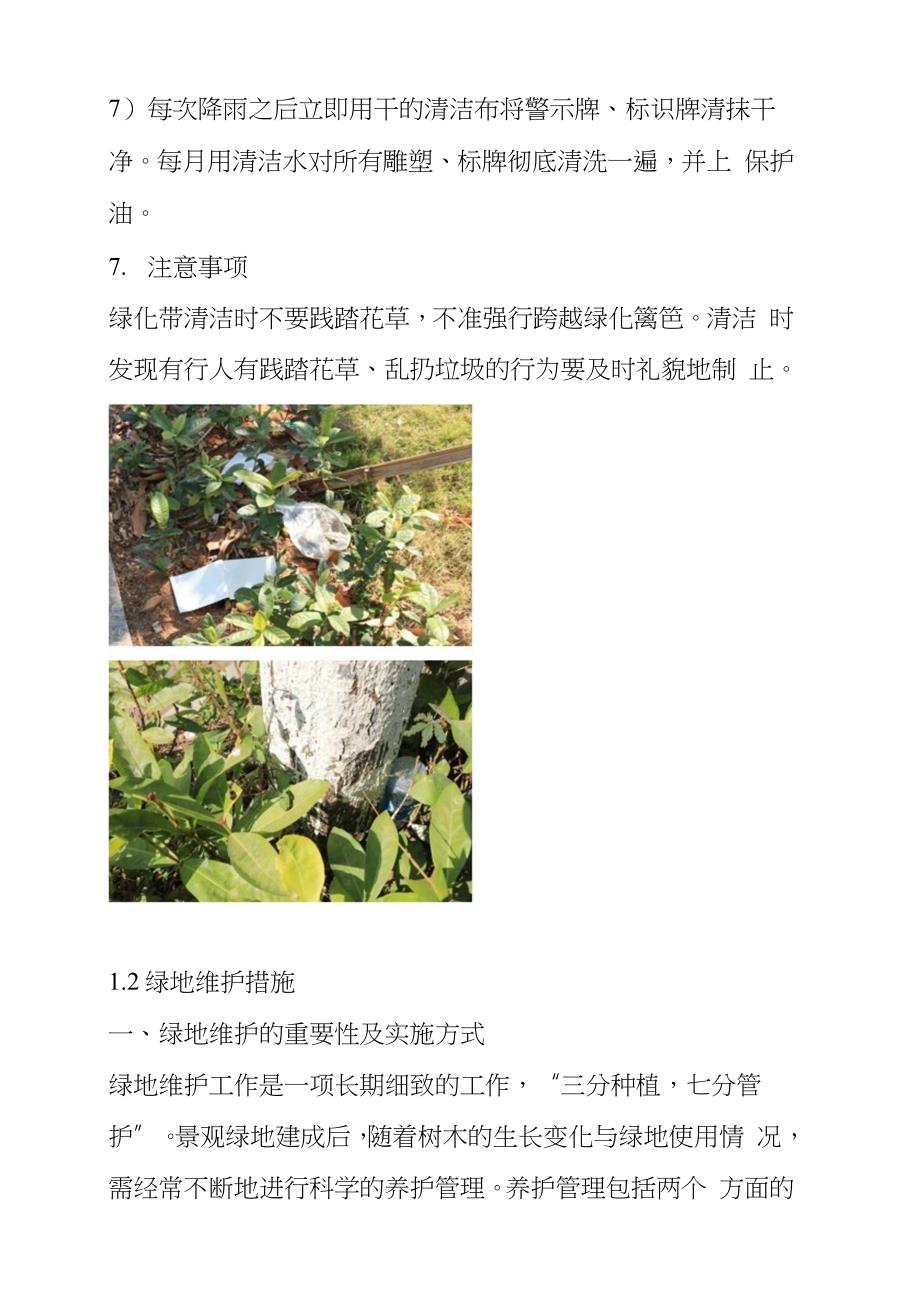 绿地保洁及维护方案完整版.doc_第3页