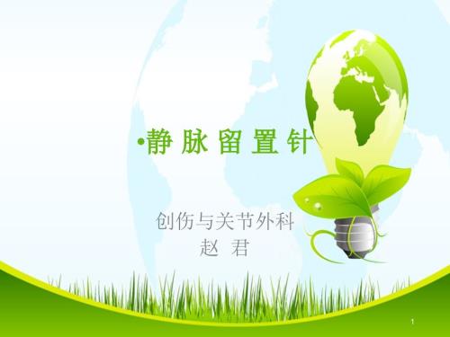 静脉留置针使用及维护.ppt