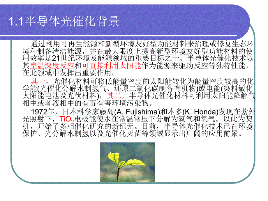 纳米生物传感器PPT课件.ppt_第3页