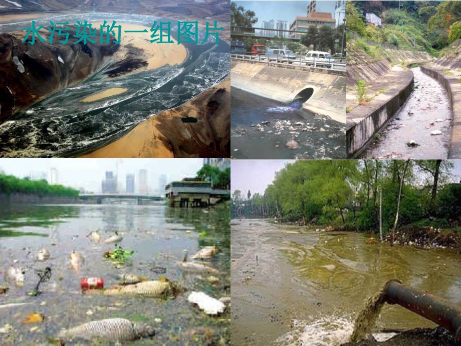 聚碱式氯化铝的制备及絮凝效果研究.ppt_第2页