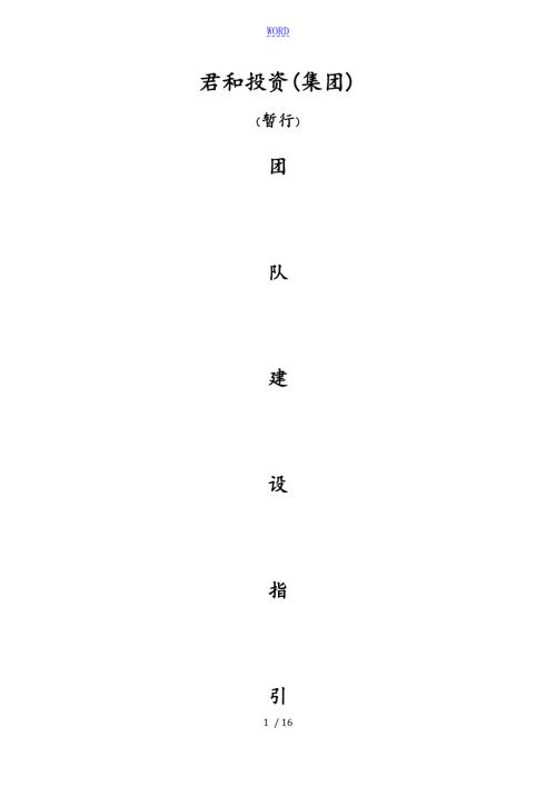 财务团队建设指引.doc