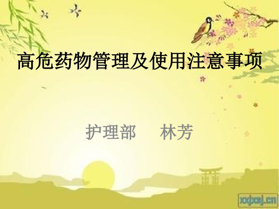 高危药物管理及使用注意事项.ppt_第1页