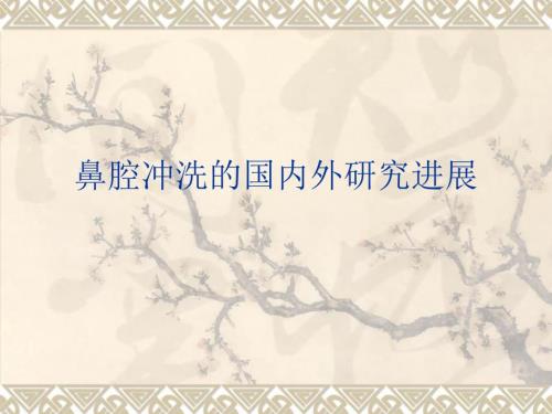 鼻腔冲洗PPT课件.ppt
