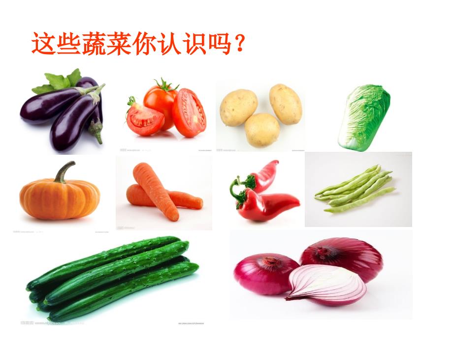 认识常见的蔬菜PPT课件.ppt_第2页