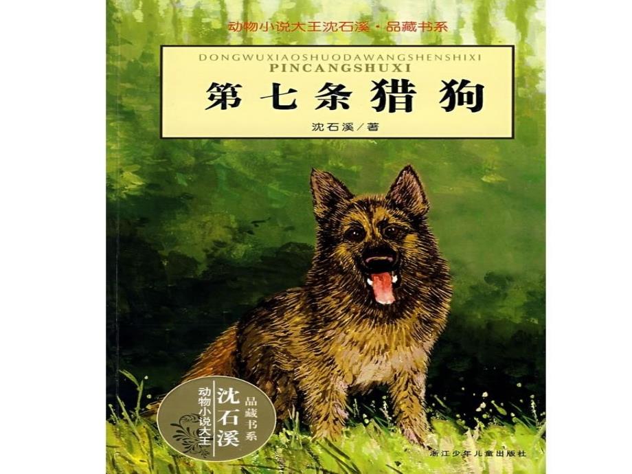 读书课第七条猎狗ppt课件.ppt_第2页