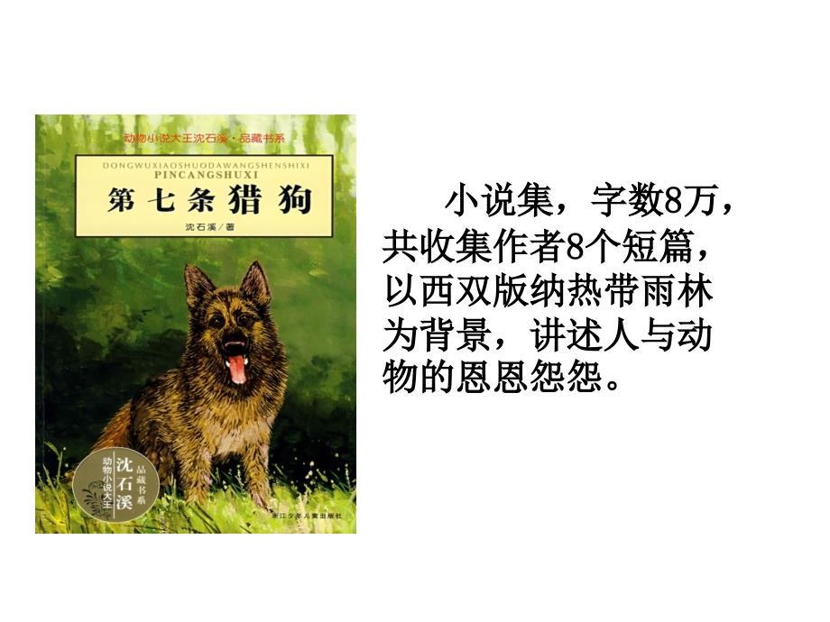 读书课第七条猎狗ppt课件.ppt_第3页