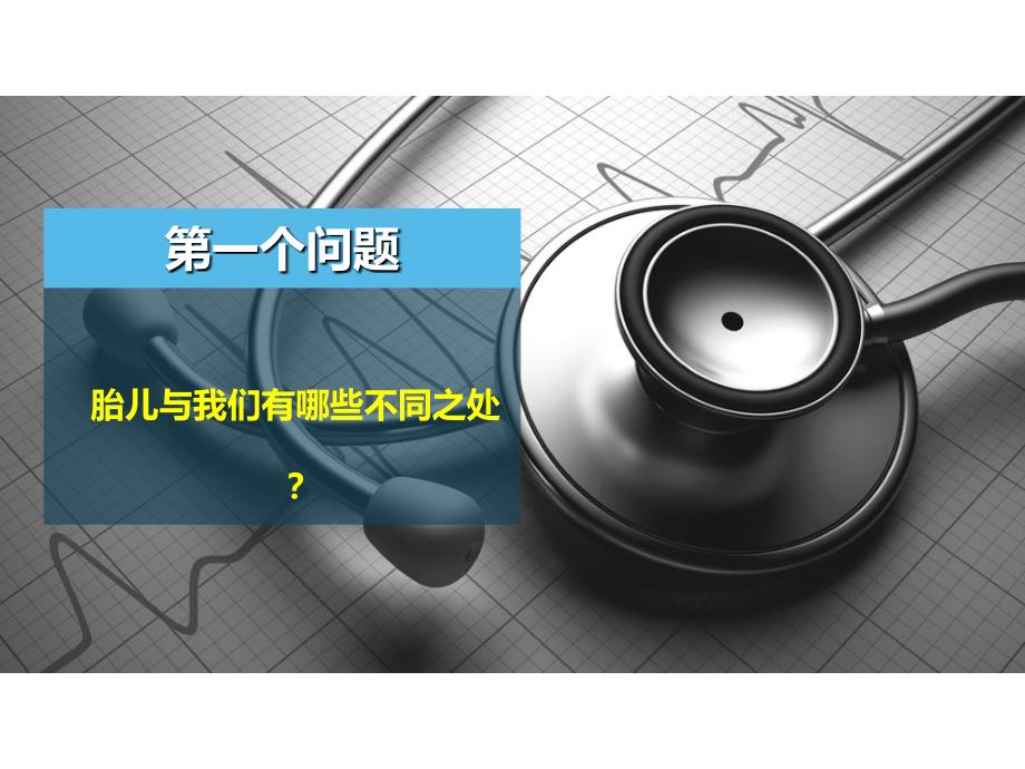 胎儿血液循环图解.ppt_第2页