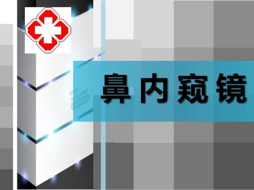 鼻内窥镜课件.ppt