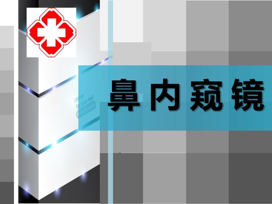 鼻内窥镜课件.ppt_第1页