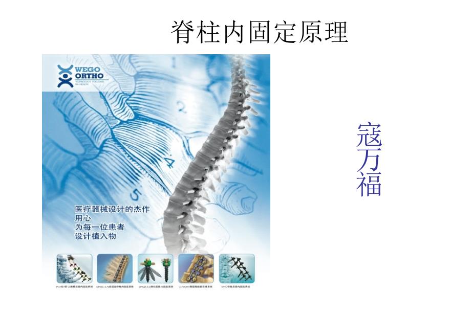 脊柱内固定原理.ppt_第1页