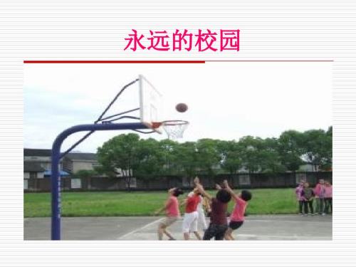 肖复兴永远的校园精品课件.ppt