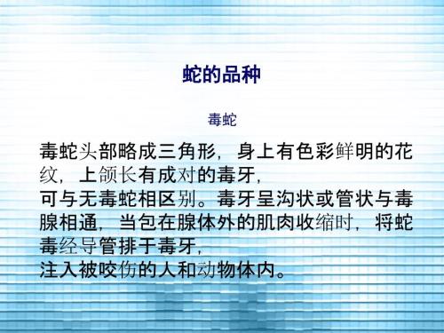 蛇的品种.ppt.ppt