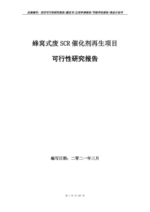 蜂窝式废SCR催化剂再生项目可行性研究报告写作范本.doc