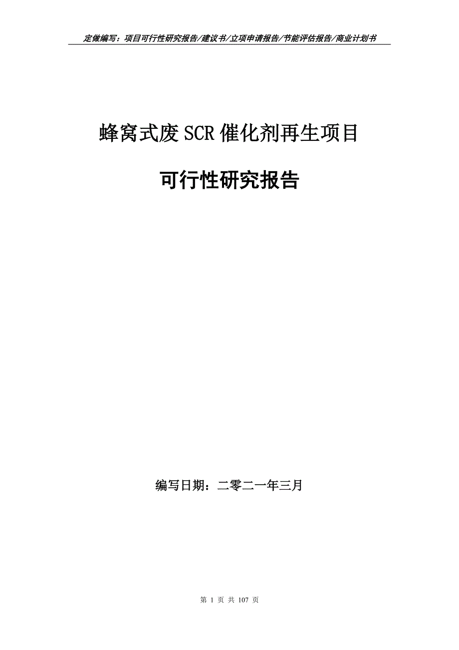 蜂窝式废SCR催化剂再生项目可行性研究报告写作范本.doc_第1页