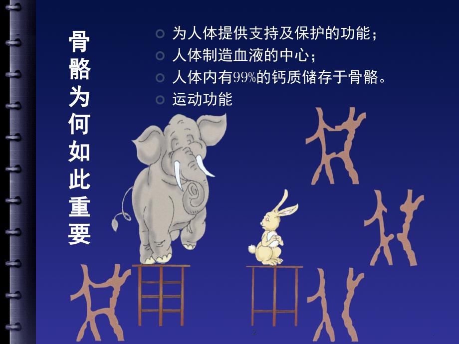 骨质疏松症的预防定稿课堂PPT.ppt_第2页