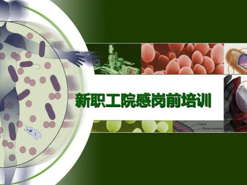 院感岗前培训PPT课件.ppt
