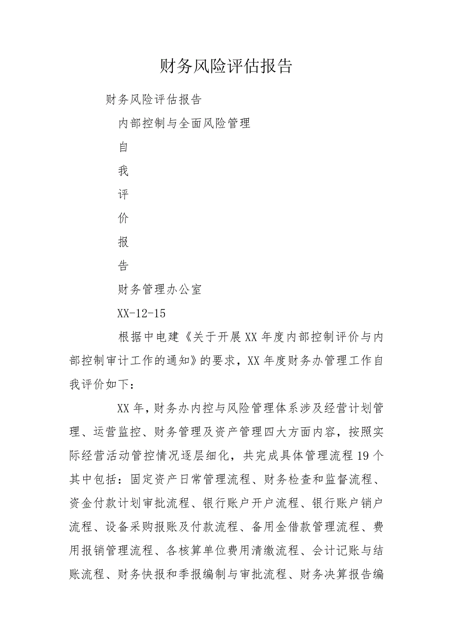 财务风险评估报告.doc_第1页