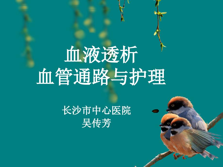 血液透析血管通路与护理ppt课件.ppt_第1页
