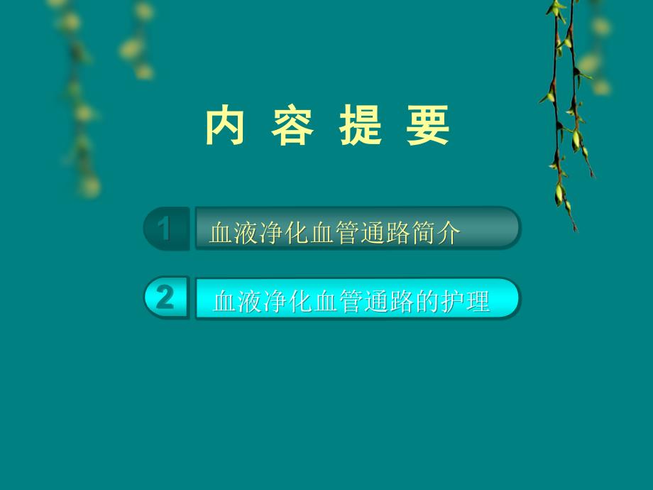 血液透析血管通路与护理ppt课件.ppt_第2页