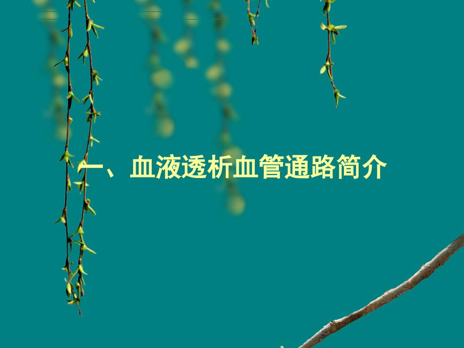 血液透析血管通路与护理ppt课件.ppt_第3页