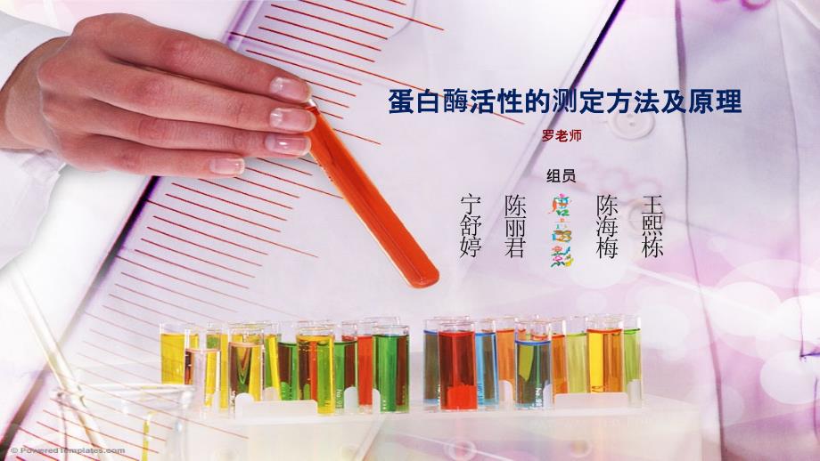 蛋白酶活性的测定方法及原理.ppt_第1页