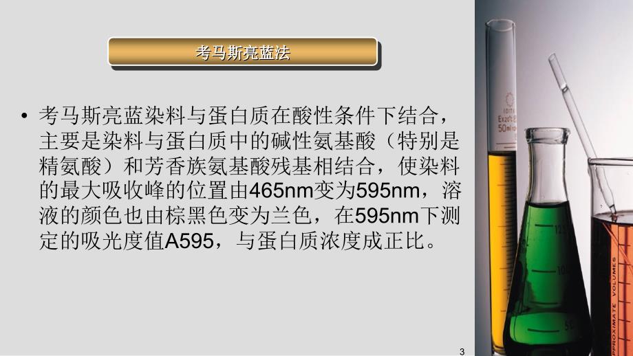 蛋白酶活性的测定方法及原理.ppt_第3页