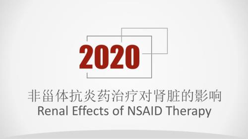 非甾体抗炎药治疗对肾脏的影响.ppt