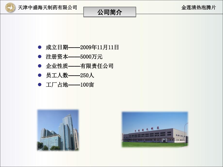 金莲清热泡腾片PPT课件.ppt_第2页