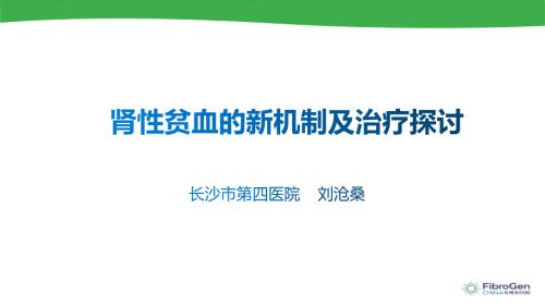肾性贫血新机制及治疗探讨课件.pptx