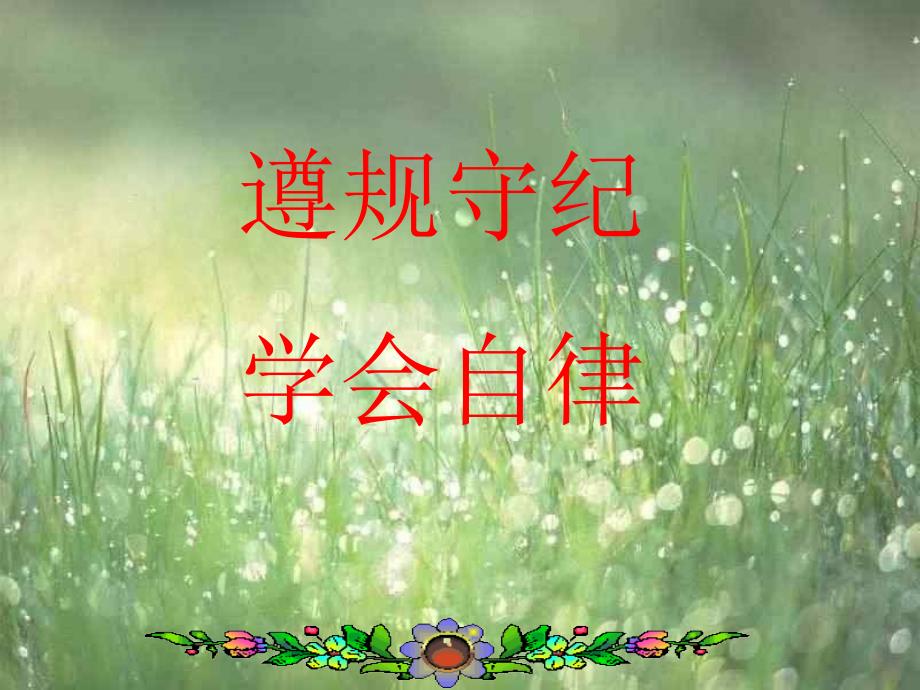 自律主题班会.ppt_第2页