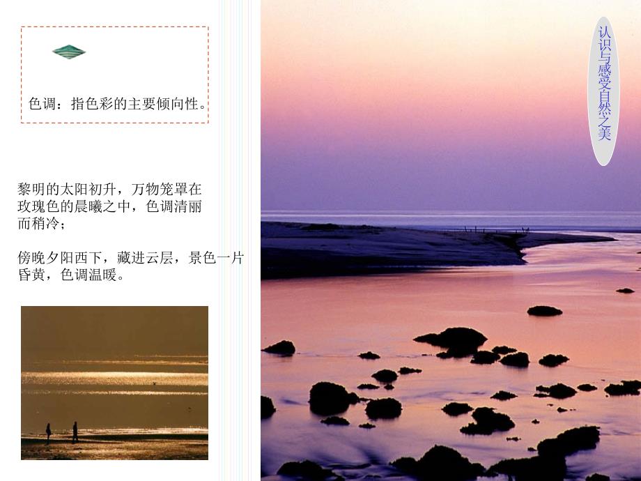色彩静物写生PPT课件.ppt_第3页