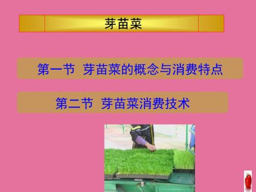 芽苗菜生产以及技术要点ppt课件.ppt