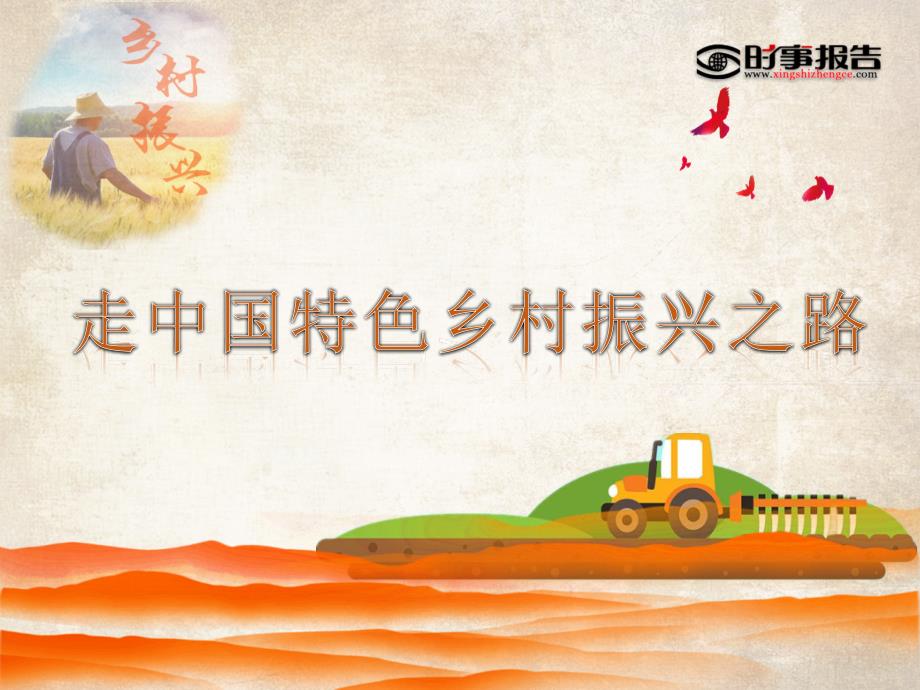走中国特色乡村振兴之路课件.pptx_第2页