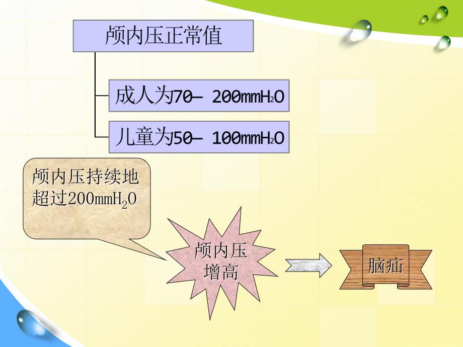 颅内压增高的护理PPT课件.ppt_第3页